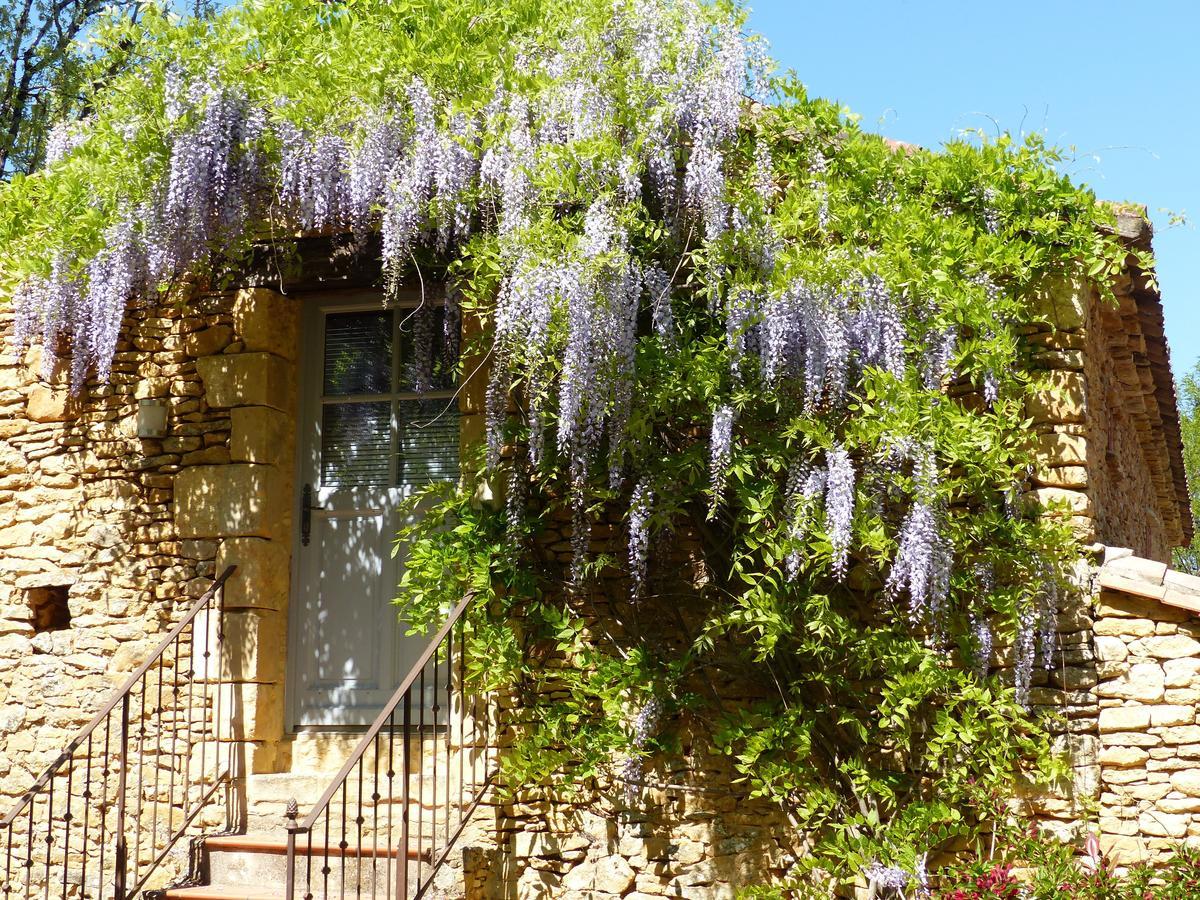 Chambres D'Hotes Les Boudines Saint-Germain-de-Belvès Pokoj fotografie